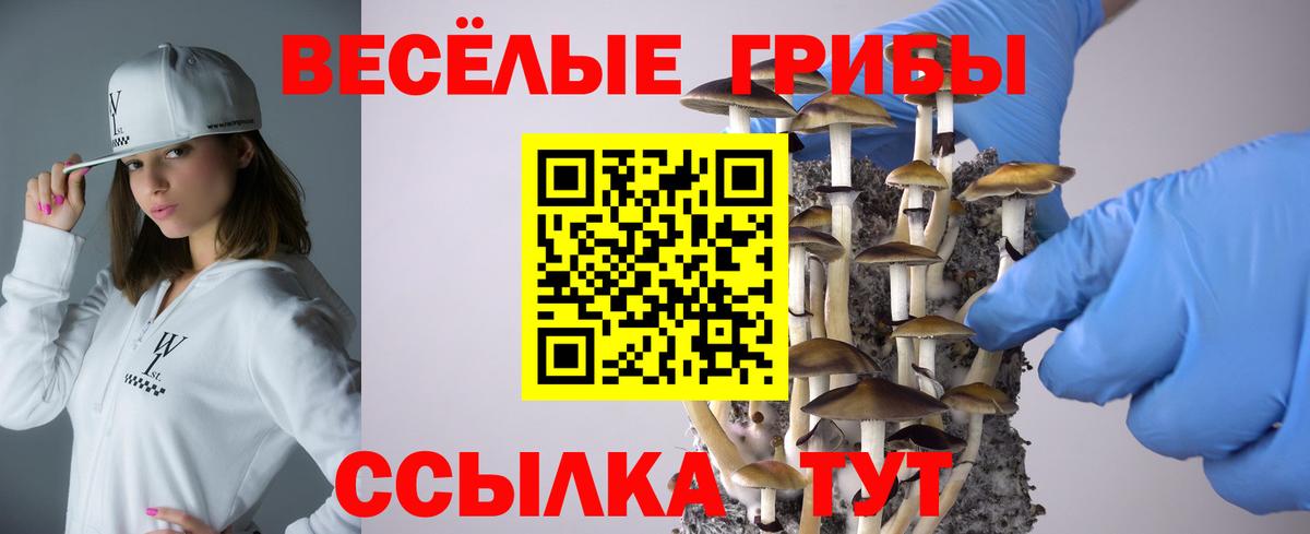 Галлюциногенные грибы Magic Shrooms  Вход с VPN  Пыть-Ях 